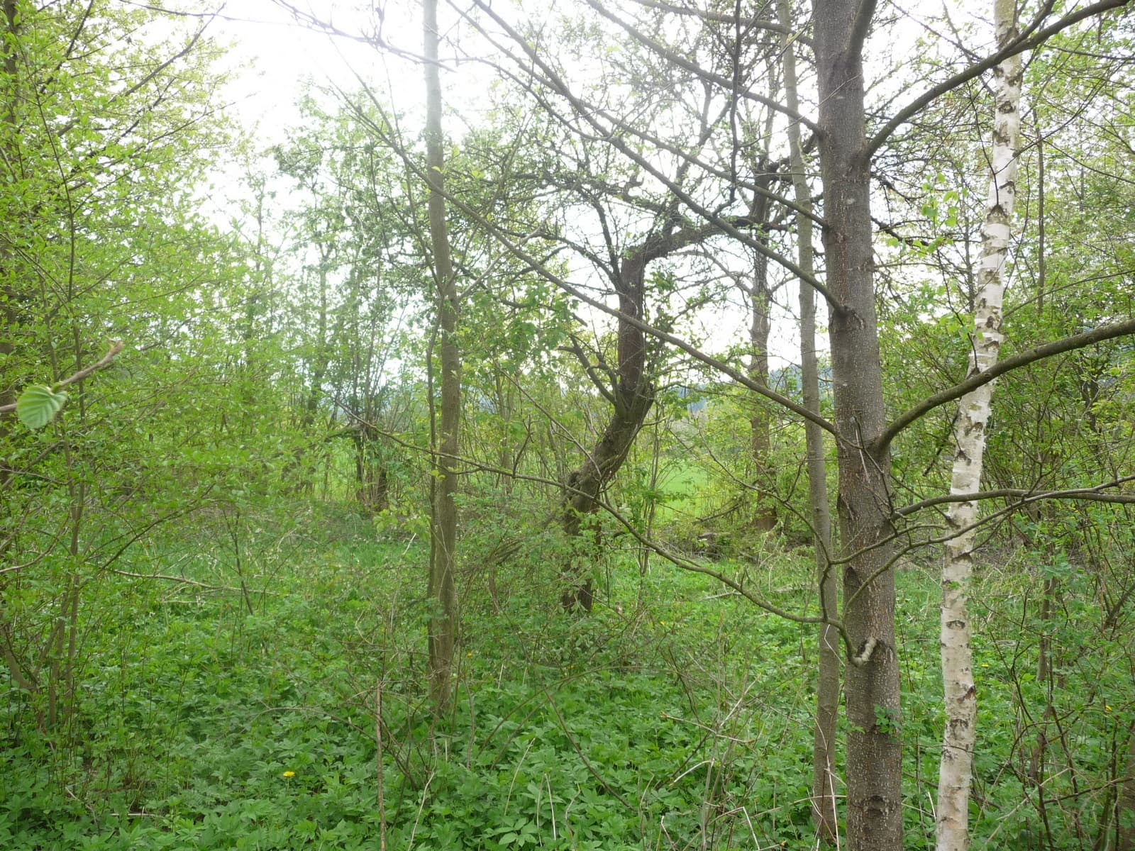 Проживання